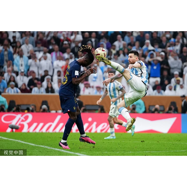 BG体育 APP - BGSPORTS