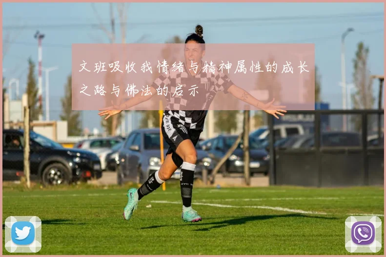 文班吸收我情绪与精神属性的成长之路与佛法的启示